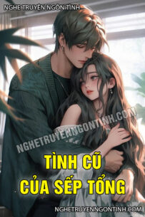 Tình Cũ Của Sếp Tổng