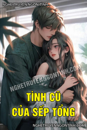 Tình Cũ Của Sếp Tổng