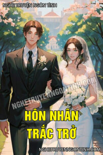 Hôn Nhân Trắc Trở