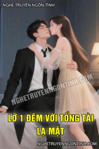 Lỡ 1 Đêm Với Tổng Tài Lạ Mặt
