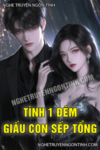 Tình 1 Đêm Giấu Con Sếp Tổng