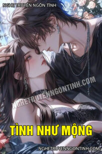 Tình Như Mộng
