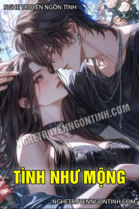 Tình Như Mộng Tình Như Mộng