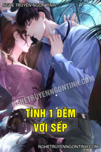 Tình 1 Đêm Với Sếp