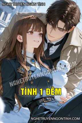 Tình 1 Đêm