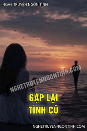 Gặp Lại Tình Cũ